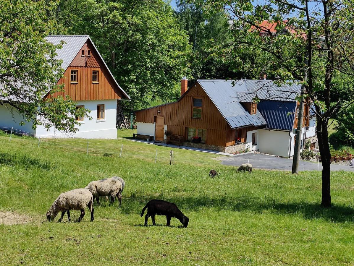 Luxusni Apt Hory 7 V Krkonosich Vysoke nad Jizerou Exterior photo